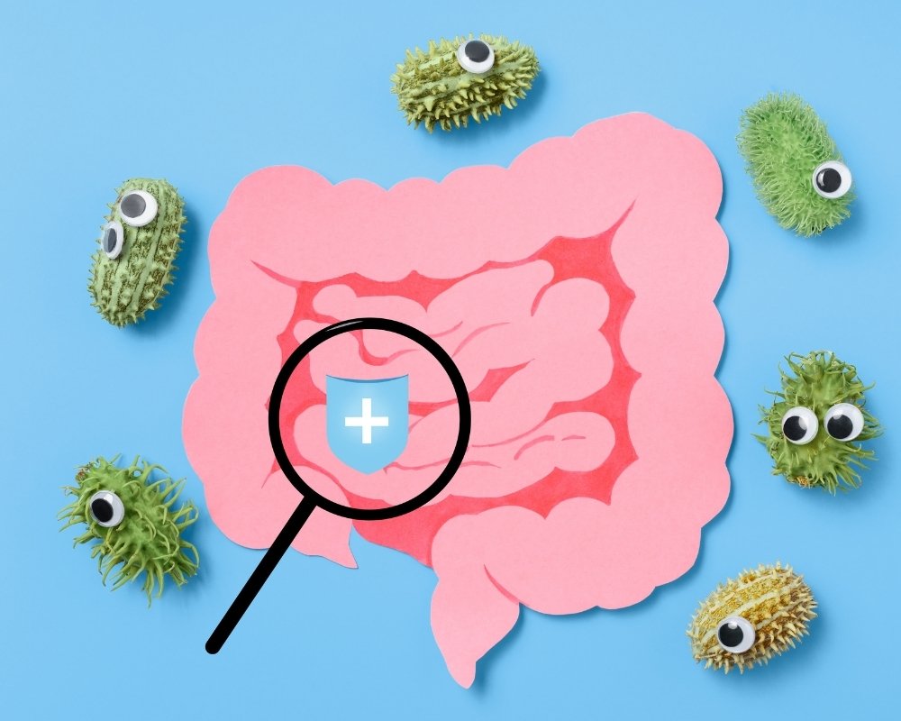 Healthy foods and vegetables for gut health